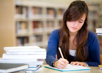 Риски заказа курсовой работы: как их избежать и получить высокую оценку