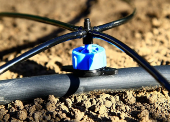 Преимущества использования капельного полива на участке