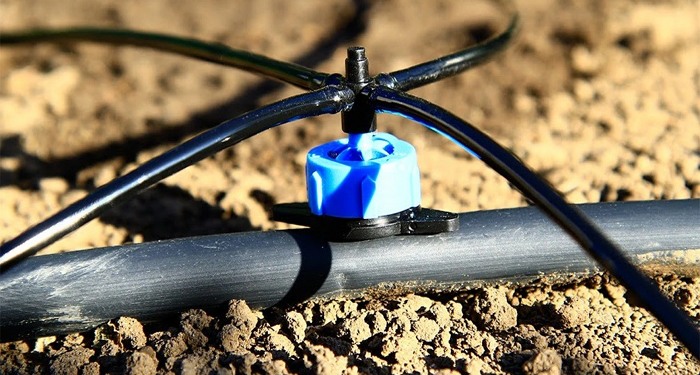 Преимущества использования капельного полива на участке