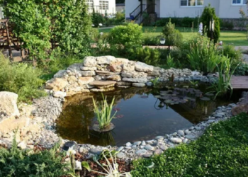 Как облагородить домашний декоративный пруд и идеи