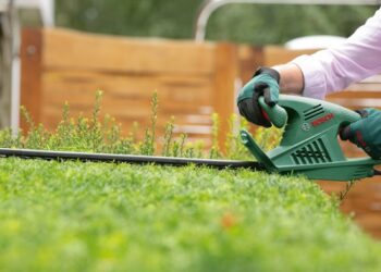 Великий асортимент якісних кущорізів у магазині Profi-store