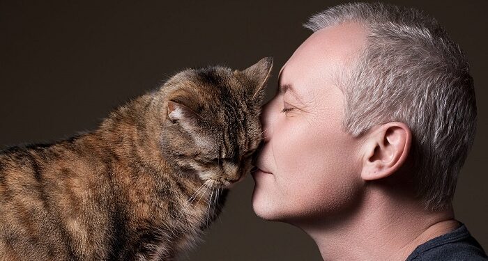 Как правильно сберечь здоровье кошки: перечень необходимых товаров