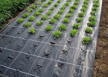 Агроволокно: основные достоинства и применение материала для нужд сельского хозяйства