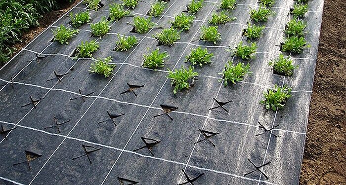 Агроволокно: основные достоинства и применение материала для нужд сельского хозяйства