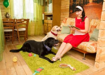 Догляд за тимчасовими підопічними: важлива інформація про перетримку тварин