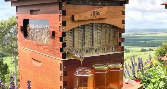 Улья для пчел высокого качества и их отличия