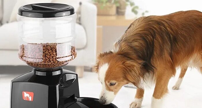 Автоматичні годівниці для собак: зручність та комфорт для вас і вашого улюбленця